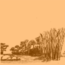 Zones humides