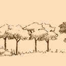 Boscos i bosquines