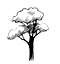 Forats en arbres